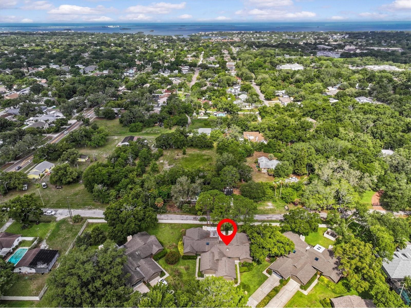 1315 Westlake Boulevard Palm Harbor FL 34683 TB8513223 image41