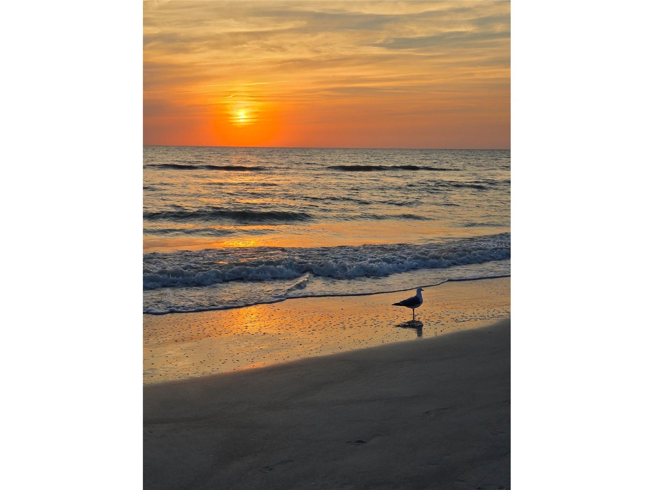 13150 3rd Street E Madeira Beach FL 33708 A4678358 image24