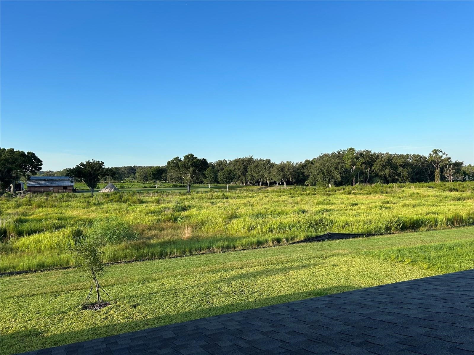 13150 Wellspring Drive Lithia FL 33547 TB8523148 image33