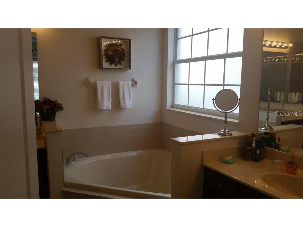 13151 Hatherton Circle Orlando FL 32832 O6346832 image6