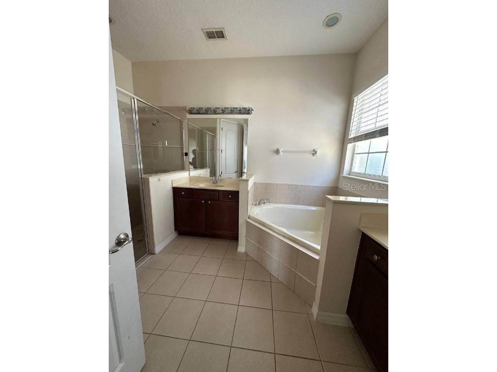 13151 Hatherton Circle Orlando FL 32832 O6346832 image8