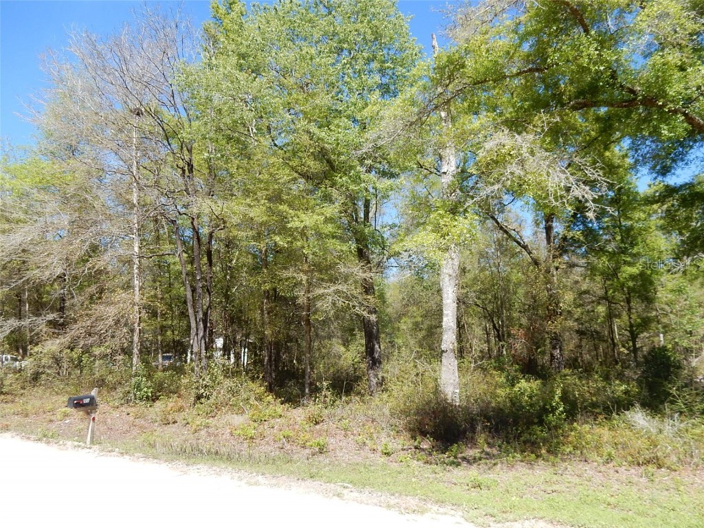 13151 NE 65th Lane Williston FL 32696 OM654395 image1