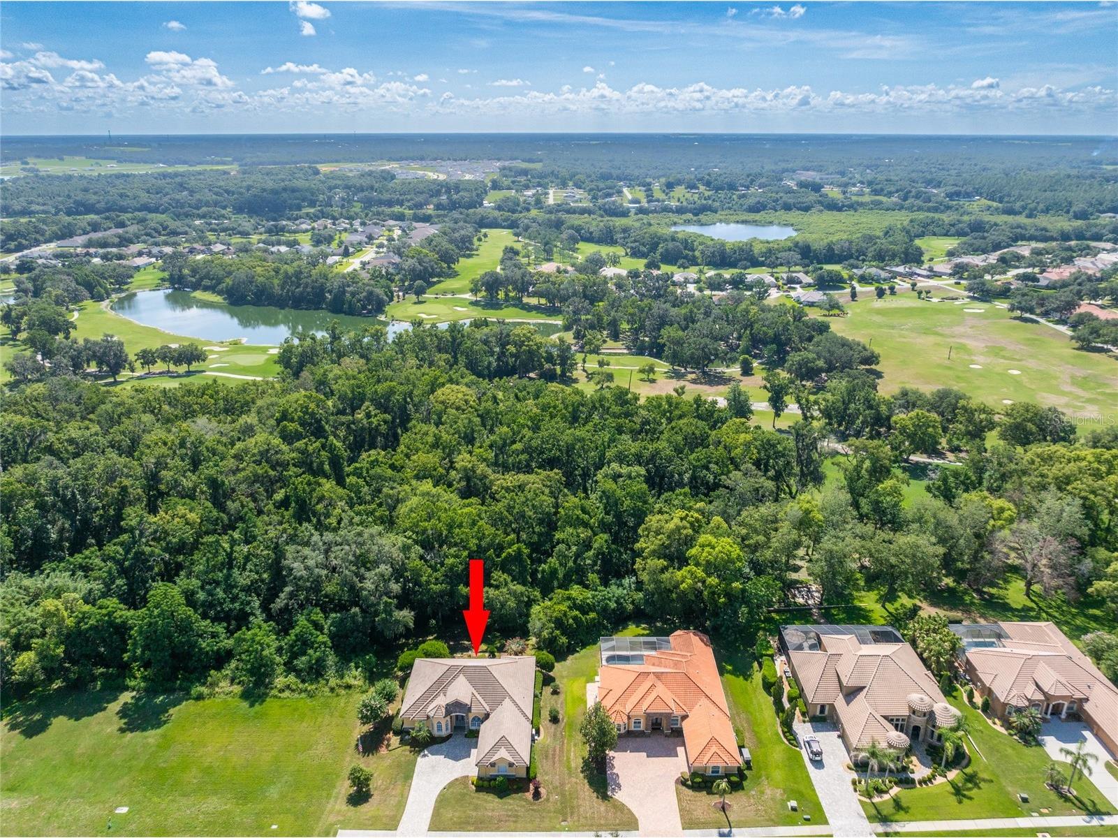 13152 Tradition Drive Dade City FL 33525 TB8526195 image3