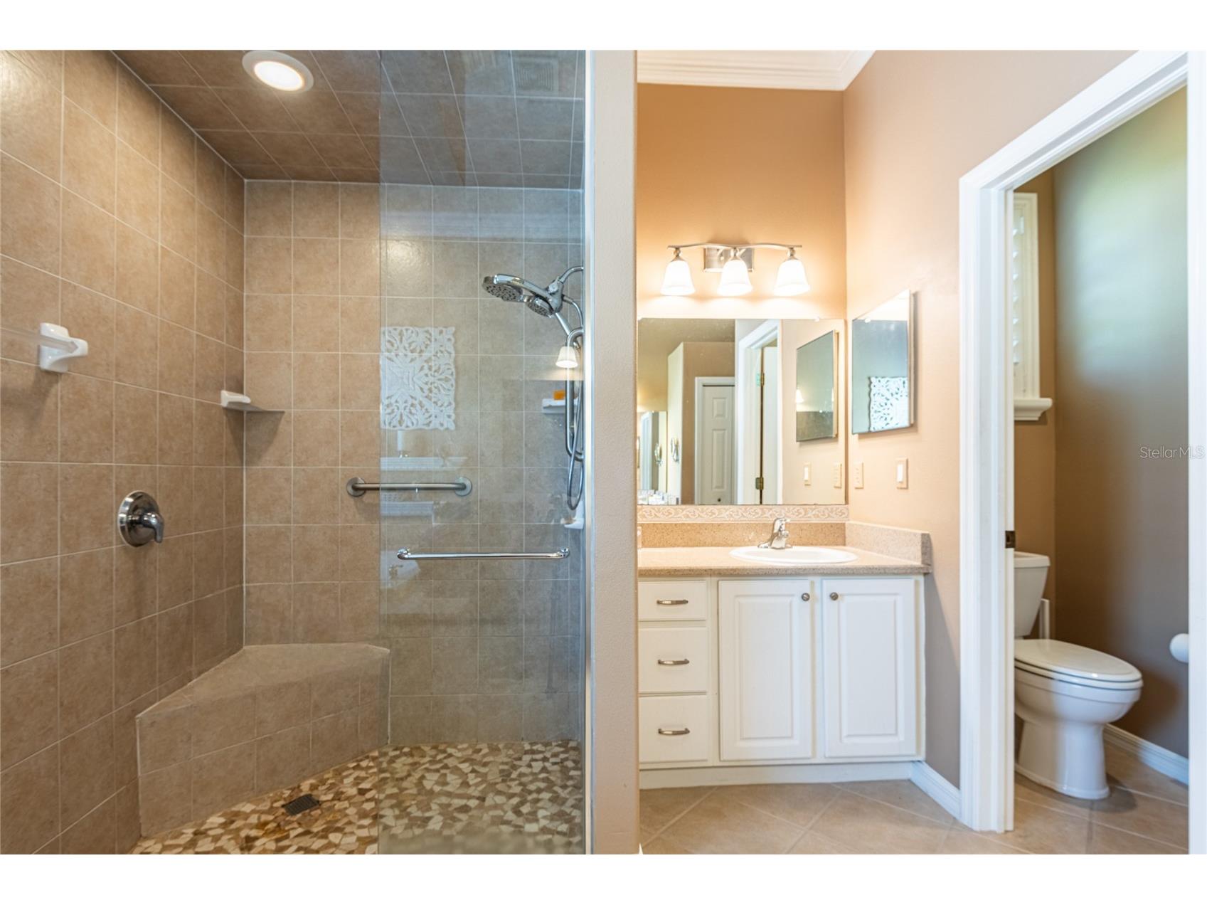 13152 Tradition Drive Dade City FL 33525 TB8526195 image35