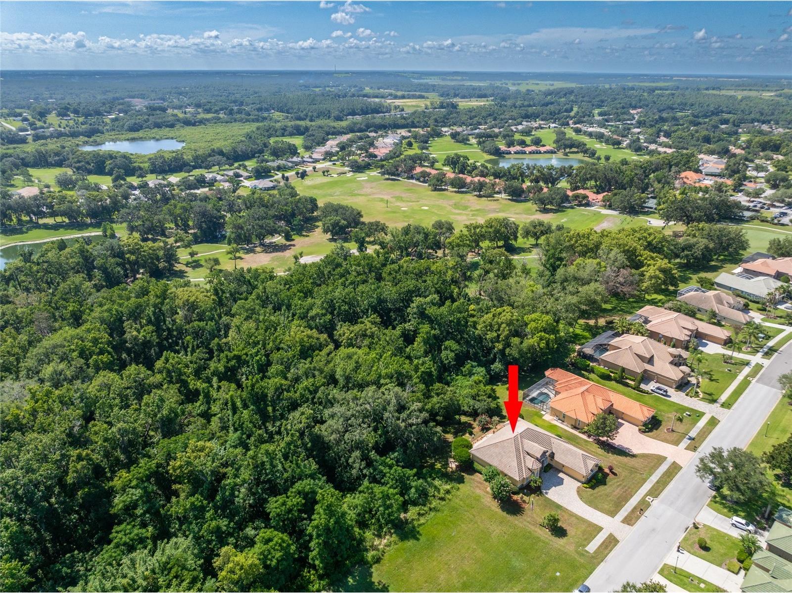 13152 Tradition Drive Dade City FL 33525 TB8526195 image83