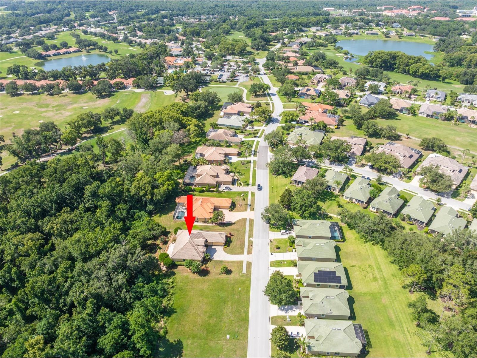 13152 Tradition Drive Dade City FL 33525 TB8526195 image84