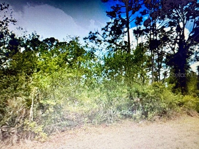 13153 Selzer Avenue Port Charlotte FL 33953 N6145017 image1