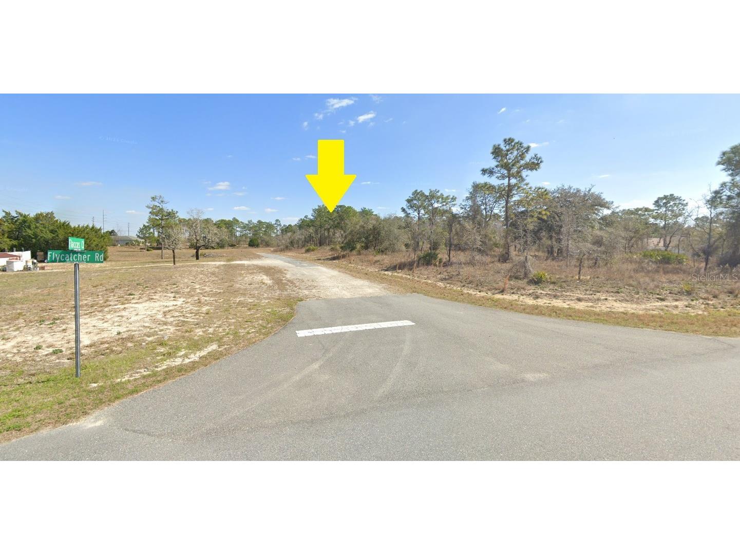 13154 Flaccus Court Brooksville FL 34613 U8203210 image1