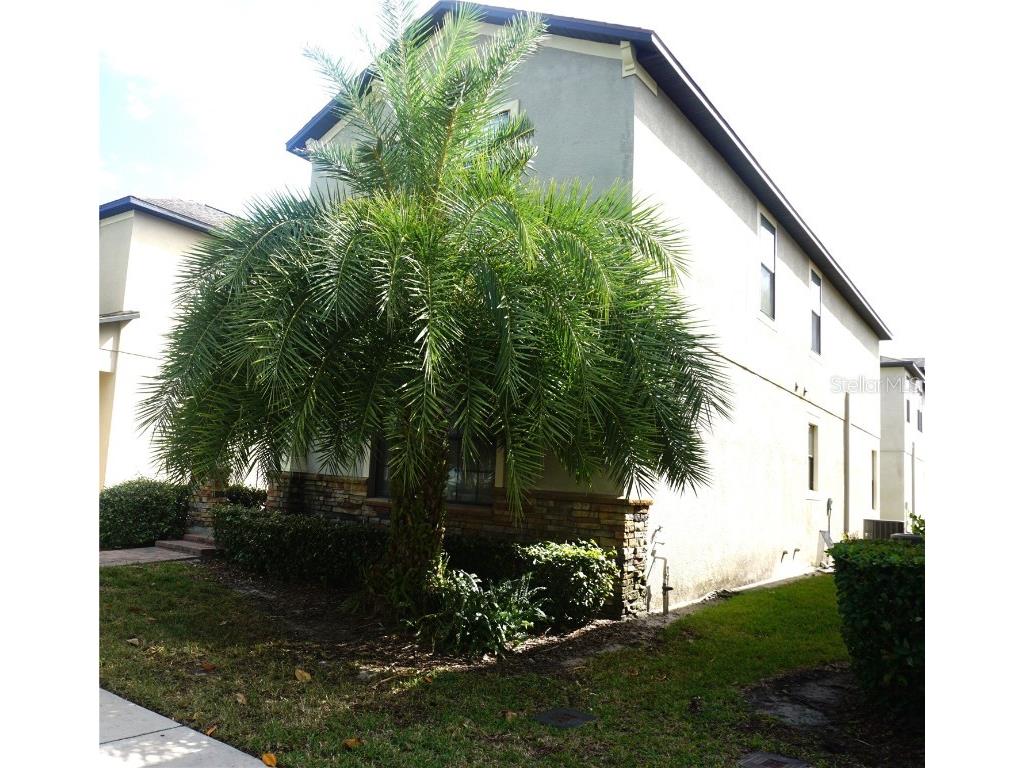 13154 Kegan Street Windermere FL 34786 O6371410 image28