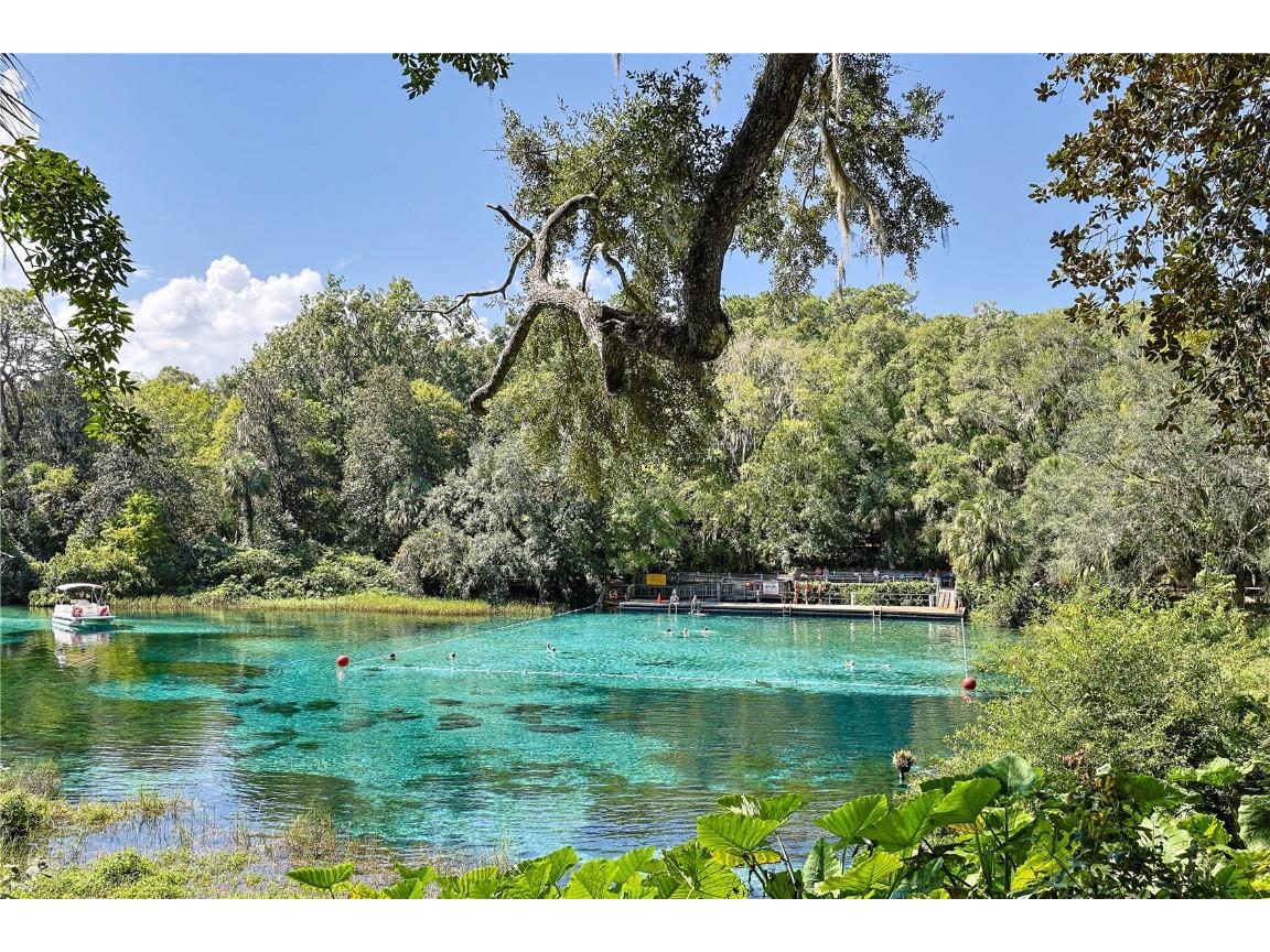 13155 SW 95th Street Dunnellon FL 34432 G5103654 image34