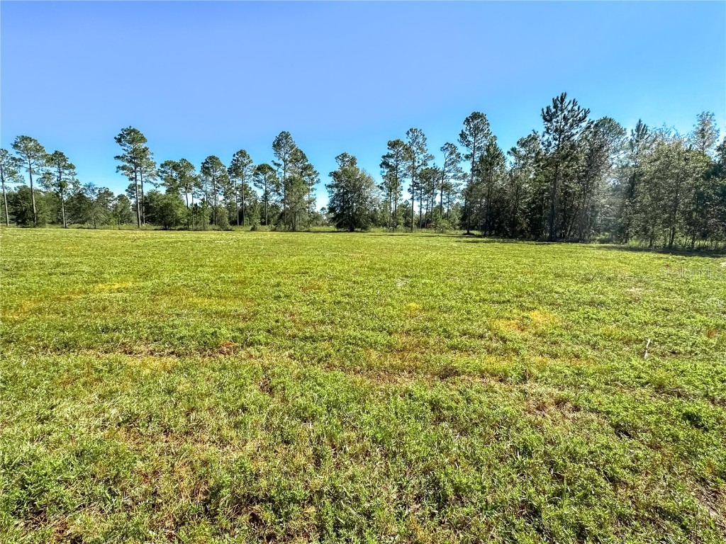 13156 138th Terrace Live Oak FL 32060 GC516924 image1