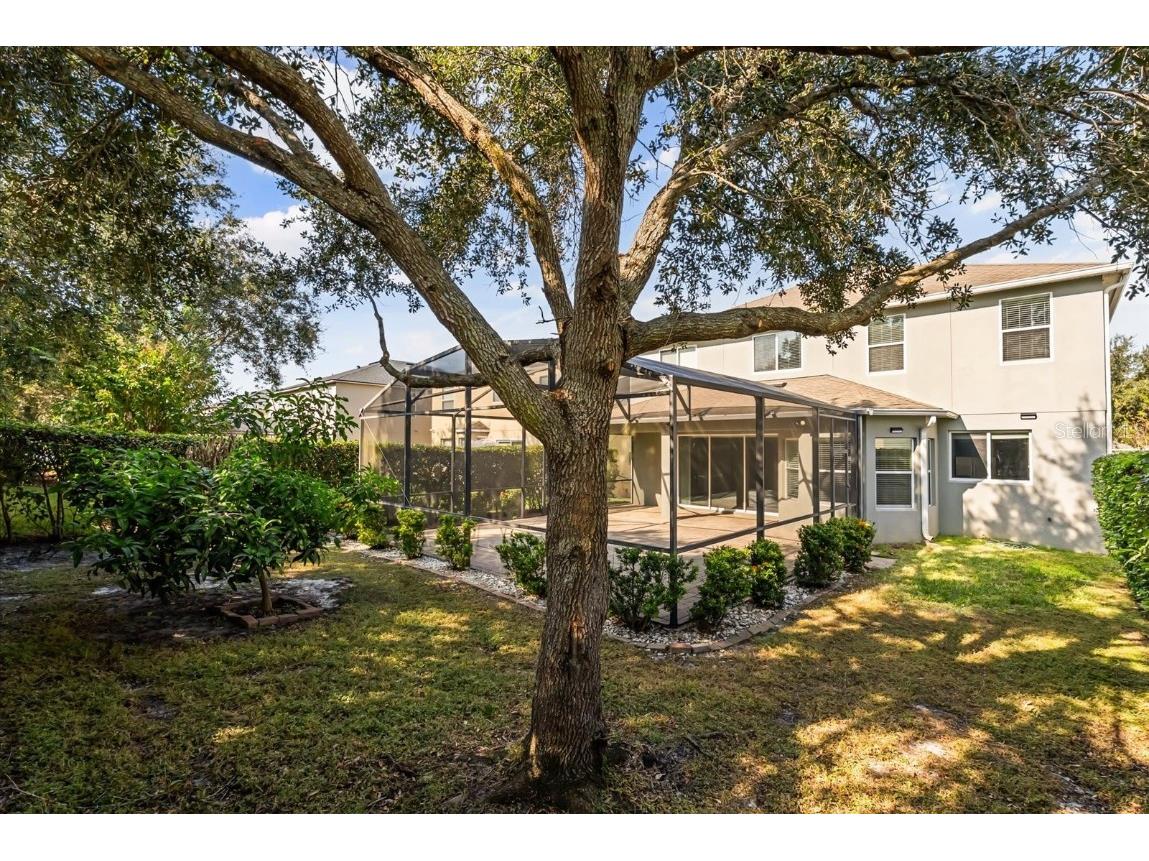 13156 Moro Court Winter Garden FL 34787 O6363443 image37