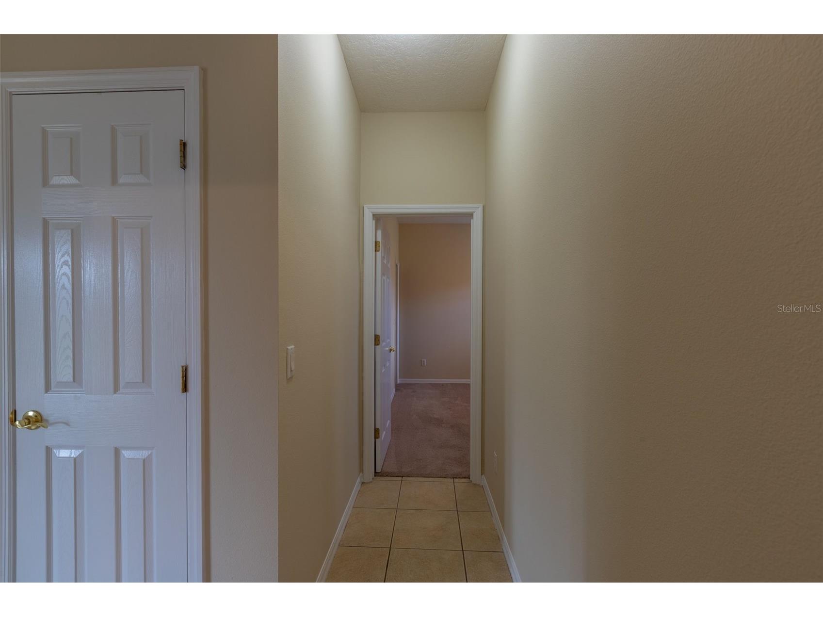 13157 Paloma Drive Orlando FL 32837 O6318984 image32