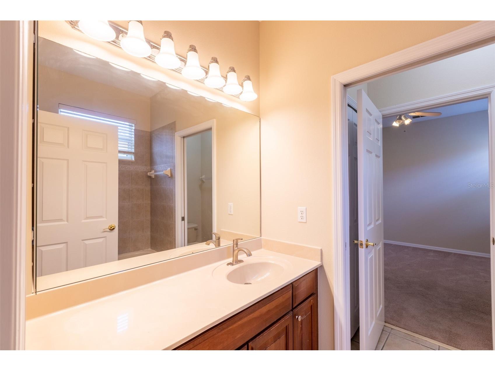 13157 Paloma Drive Orlando FL 32837 O6318984 image38