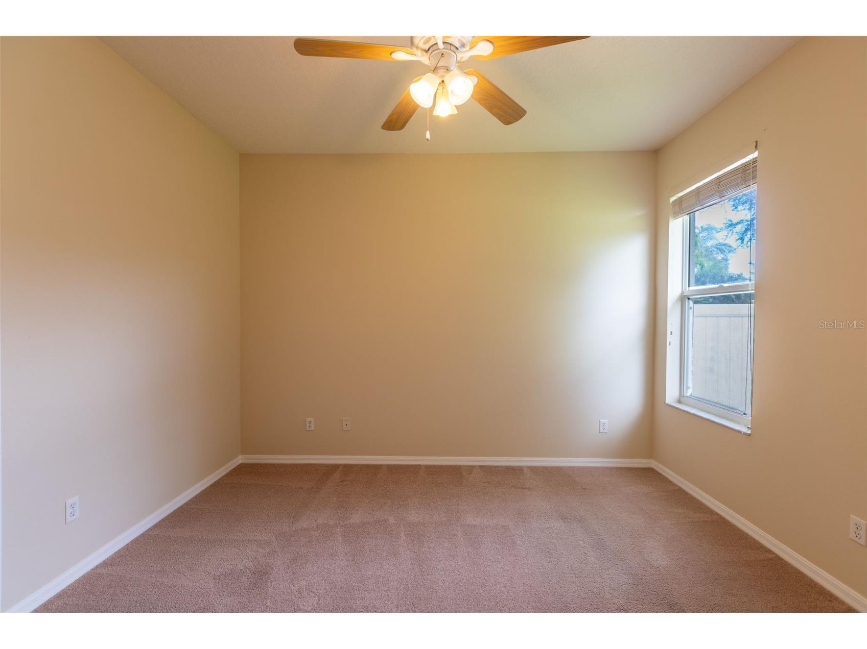 13157 Paloma Drive Orlando FL 32837 O6318984 image44