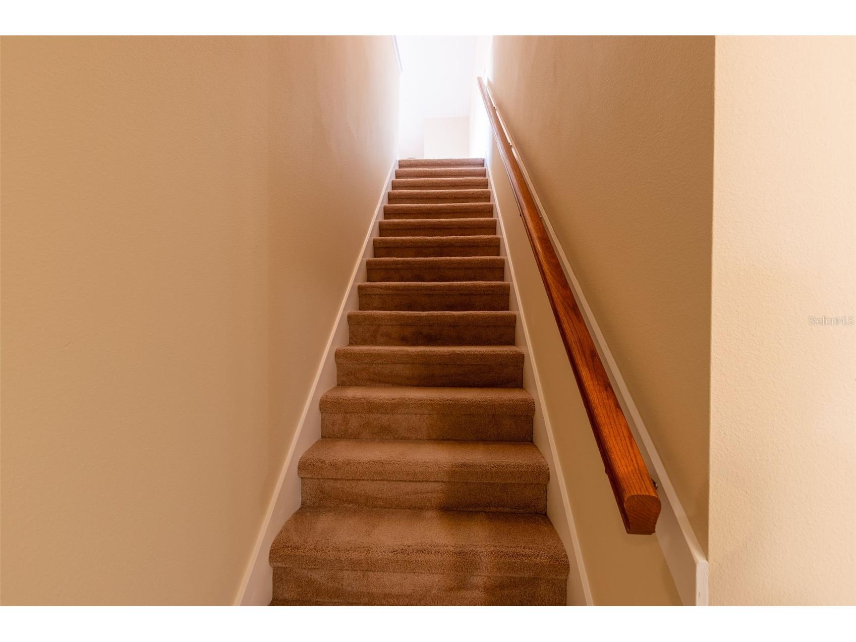 13157 Paloma Drive Orlando FL 32837 O6318984 image63