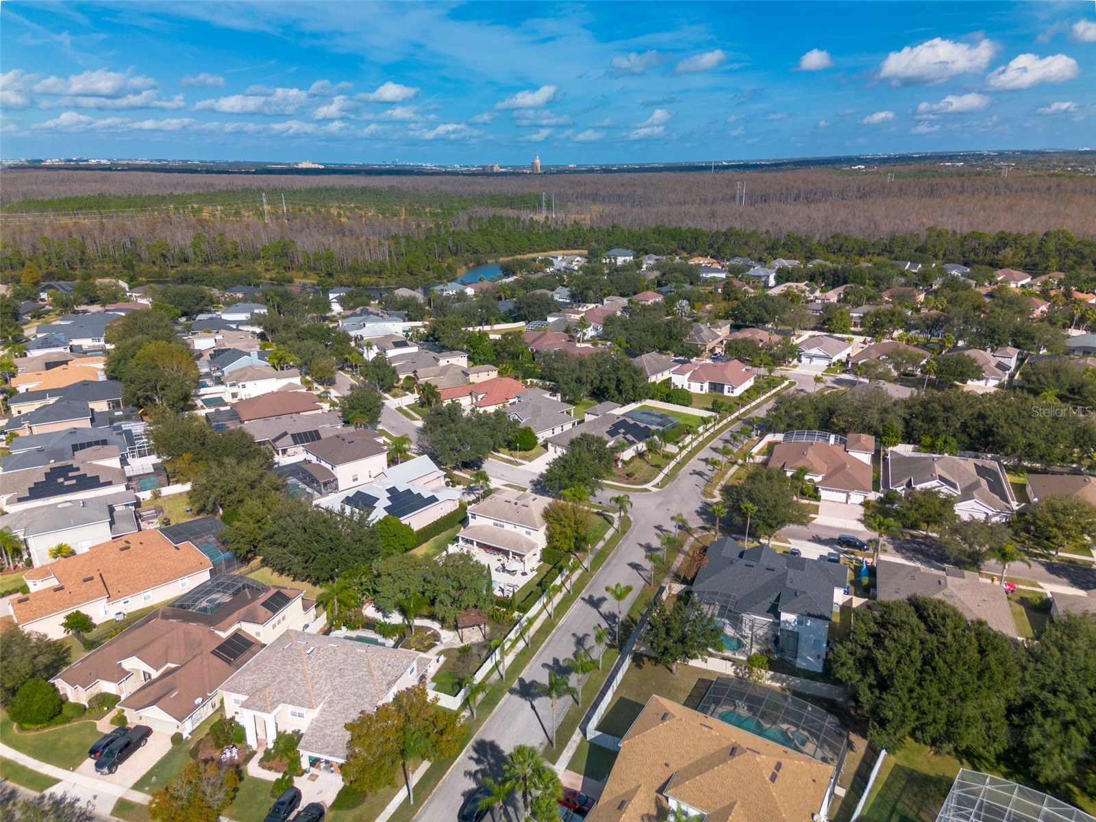 13157 Paloma Drive Orlando FL 32837 O6318984 image78