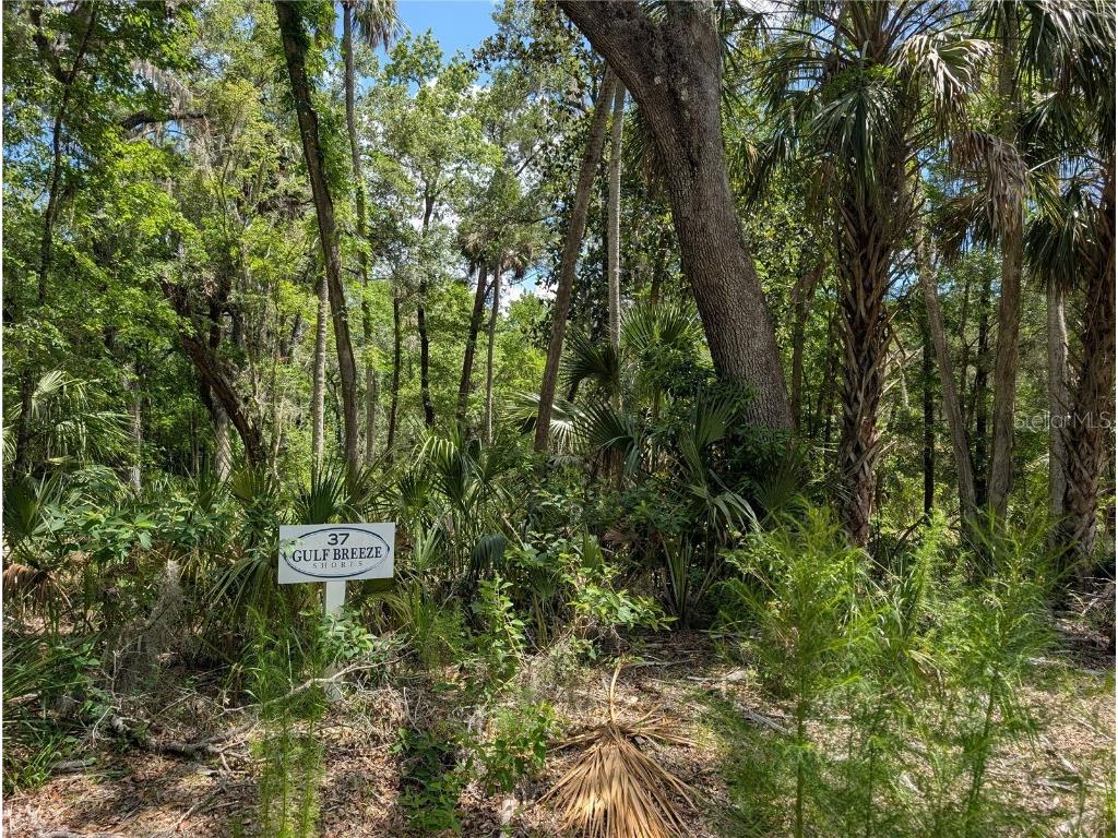 13159 W Gulf Shores Street Inglis FL 34449 OM703995 image2