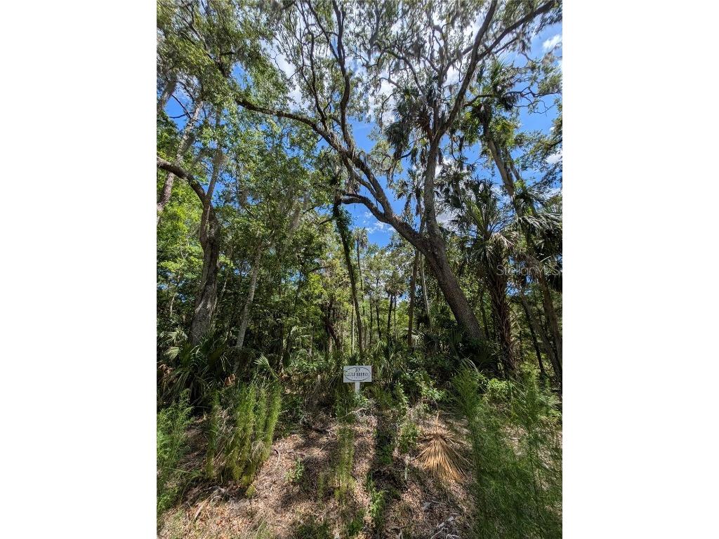 13159 W Gulf Shores Street Inglis FL 34449 OM703995 image3