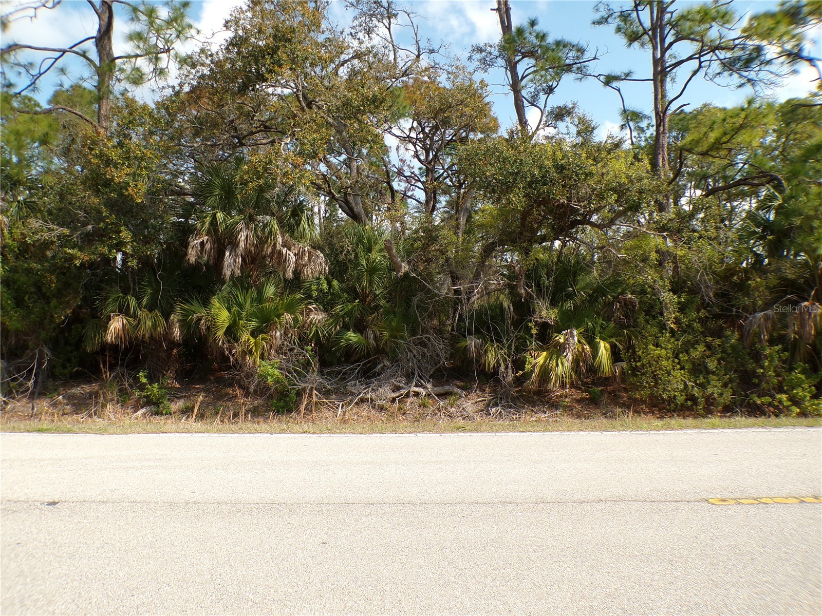 1316 Biscayne Drive Port Charlotte FL 33953 C7524056 image5