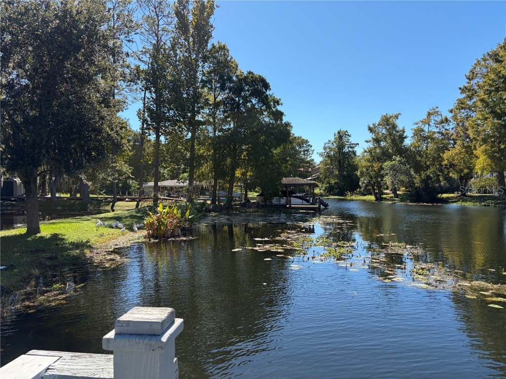 1316 Classic Drive Longwood FL 32779 - LAKE BRANTLEY O6357225 image68