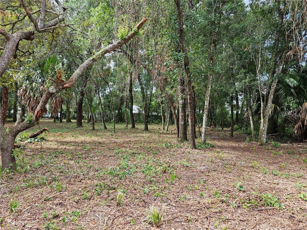 1316 E 9th Avenue Mount Dora FL 32757 - MOUNT DORA CHAIN OF LAKES G5082179 image1