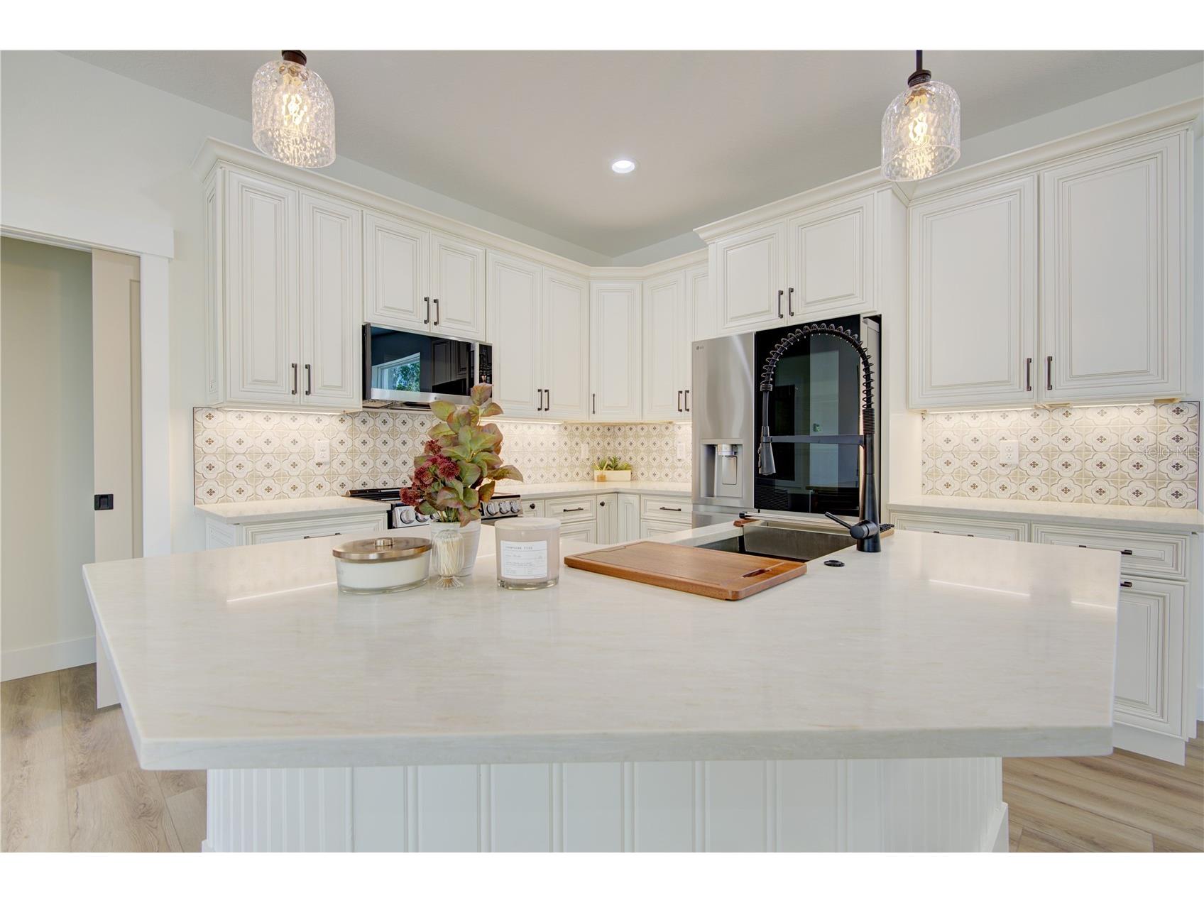 1316 E 9th Avenue Mount Dora FL 32757 O6416275 image10