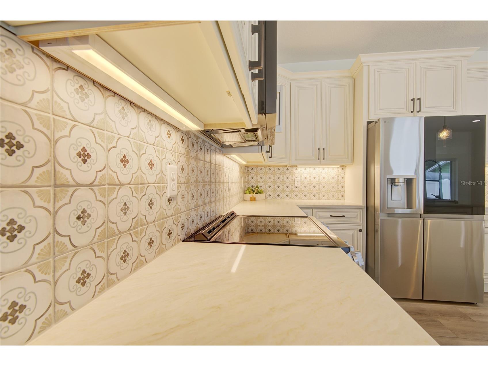 1316 E 9th Avenue Mount Dora FL 32757 O6416275 image13
