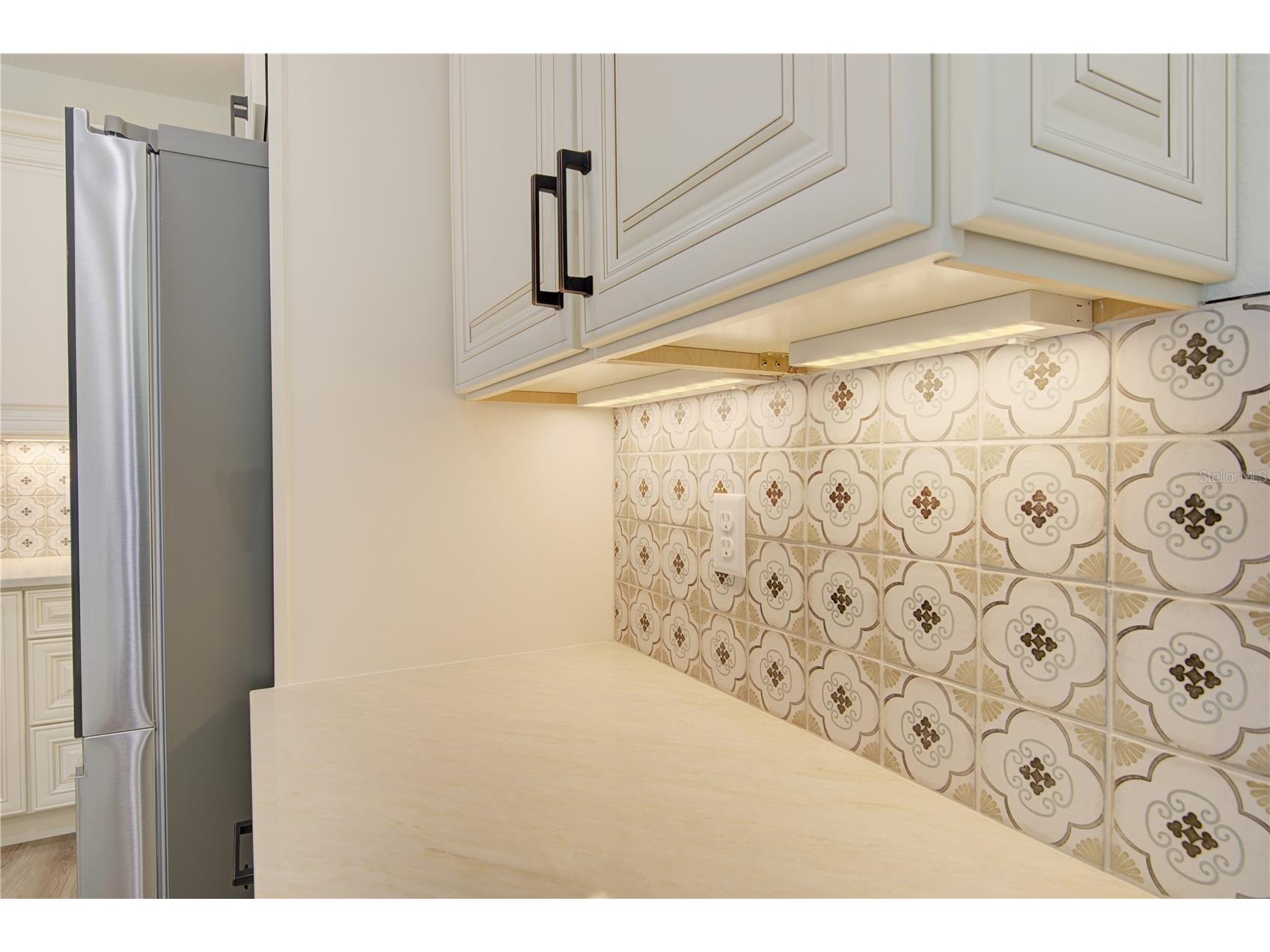 1316 E 9th Avenue Mount Dora FL 32757 O6416275 image15