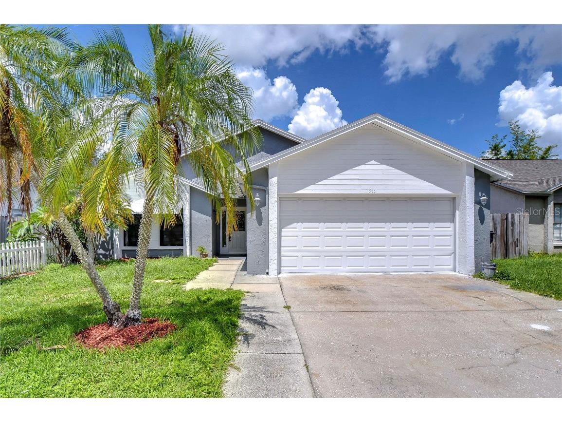 1316 Hatch Place Valrico FL 33594 T3542378 image1