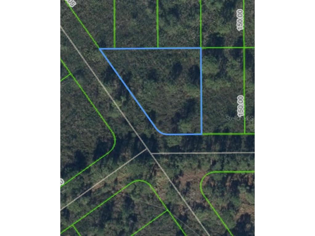 1316 Lark Street Lake Placid FL 33852 O6303022 image1