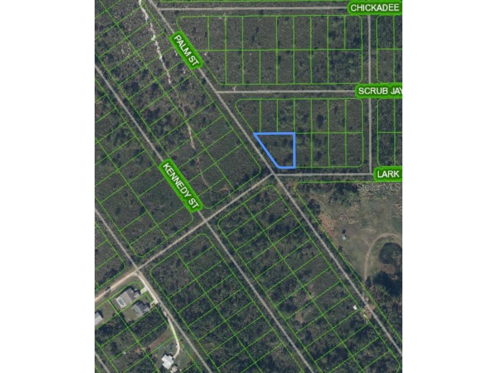 1316 Lark Street Lake Placid FL 33852 O6303022 image3