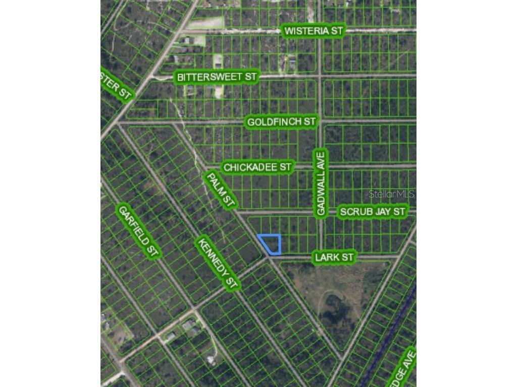 1316 Lark Street Lake Placid FL 33852 O6303022 image4