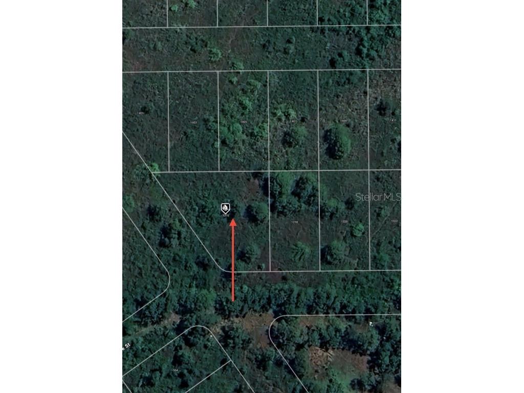 1316 Lark Street Lake Placid FL 33852 O6303022 image5