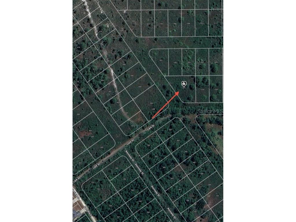 1316 Lark Street Lake Placid FL 33852 O6303022 image7