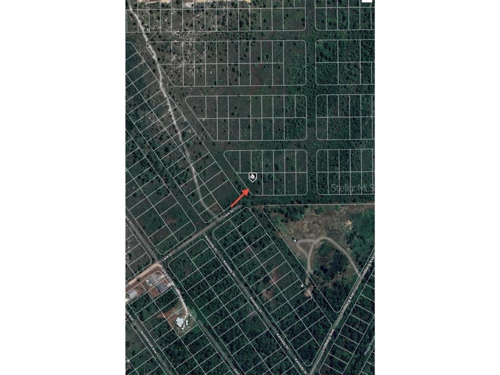 1316 Lark Street Lake Placid FL 33852 O6303022 image8