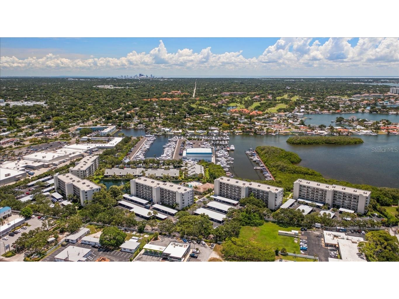 1316 Pasadena Avenue S #104 South Pasadena FL 33707 - INTRACOASTAL & BOCA CIEGA BAY TB8458294 image38