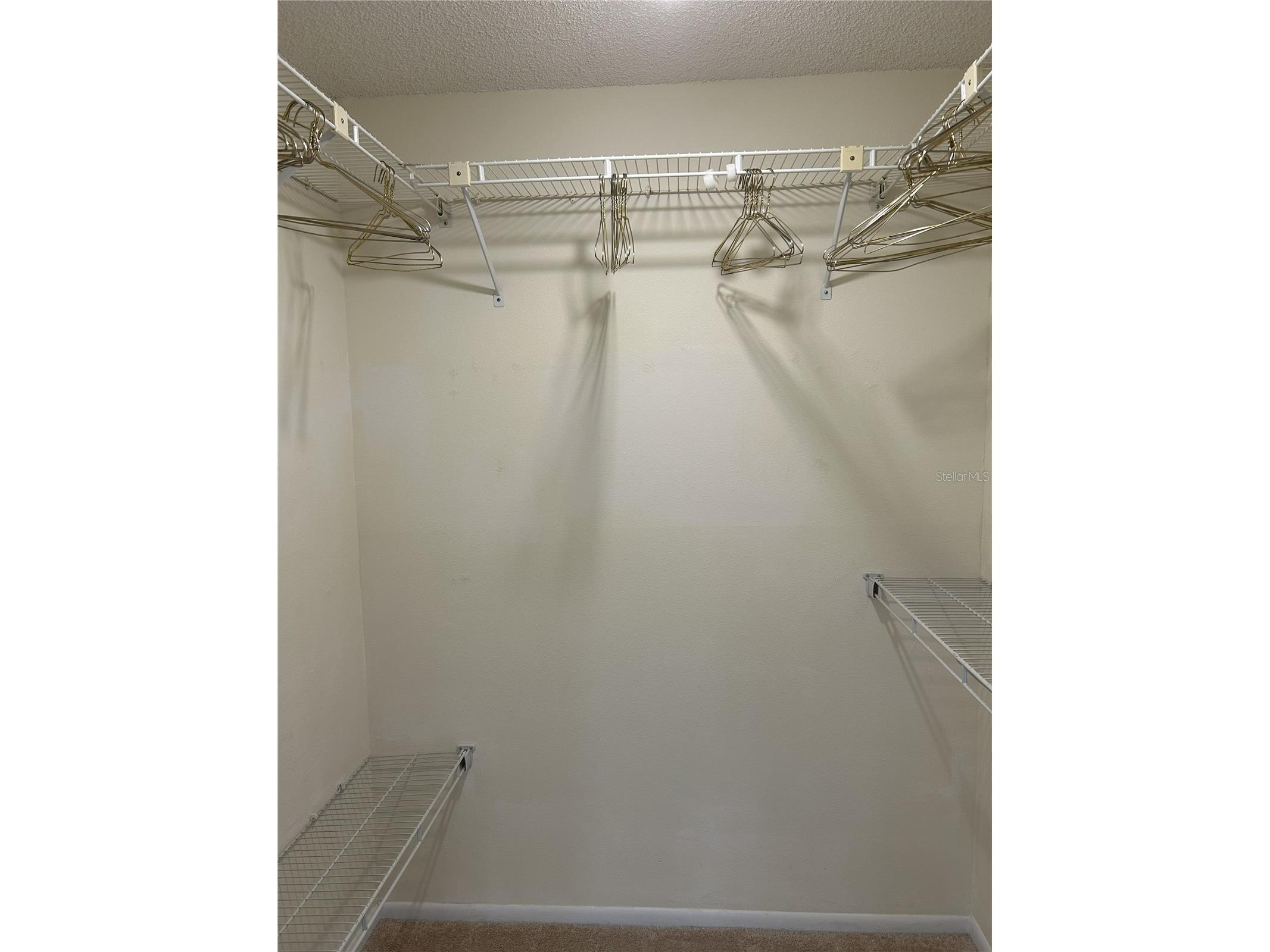 1316 Pasadena Avenue S #202 South Pasadena FL 33707 TB8474811 image19