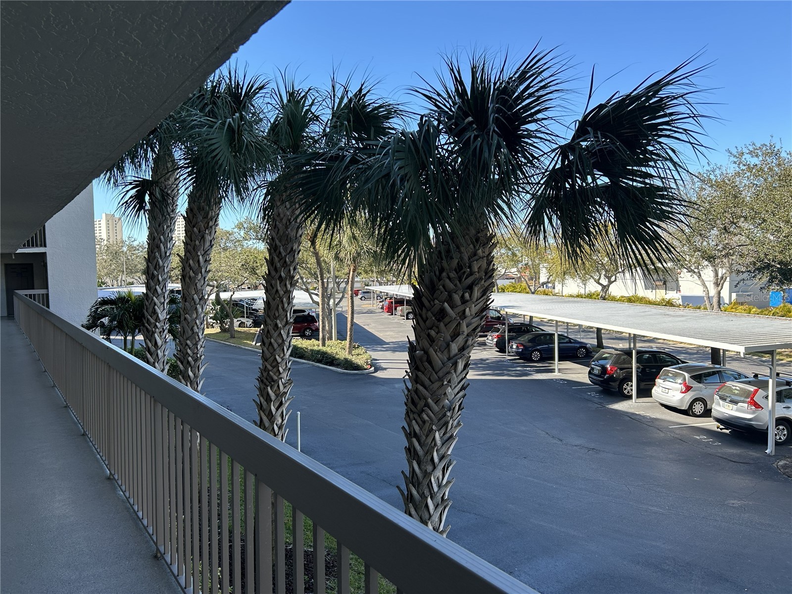 1316 Pasadena Avenue S #202 South Pasadena FL 33707 TB8474811 image25