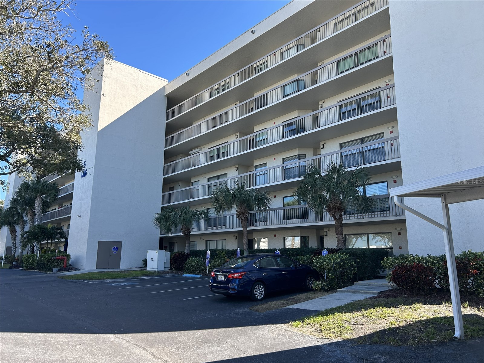 1316 Pasadena Avenue S #202 South Pasadena FL 33707 TB8474811 image27