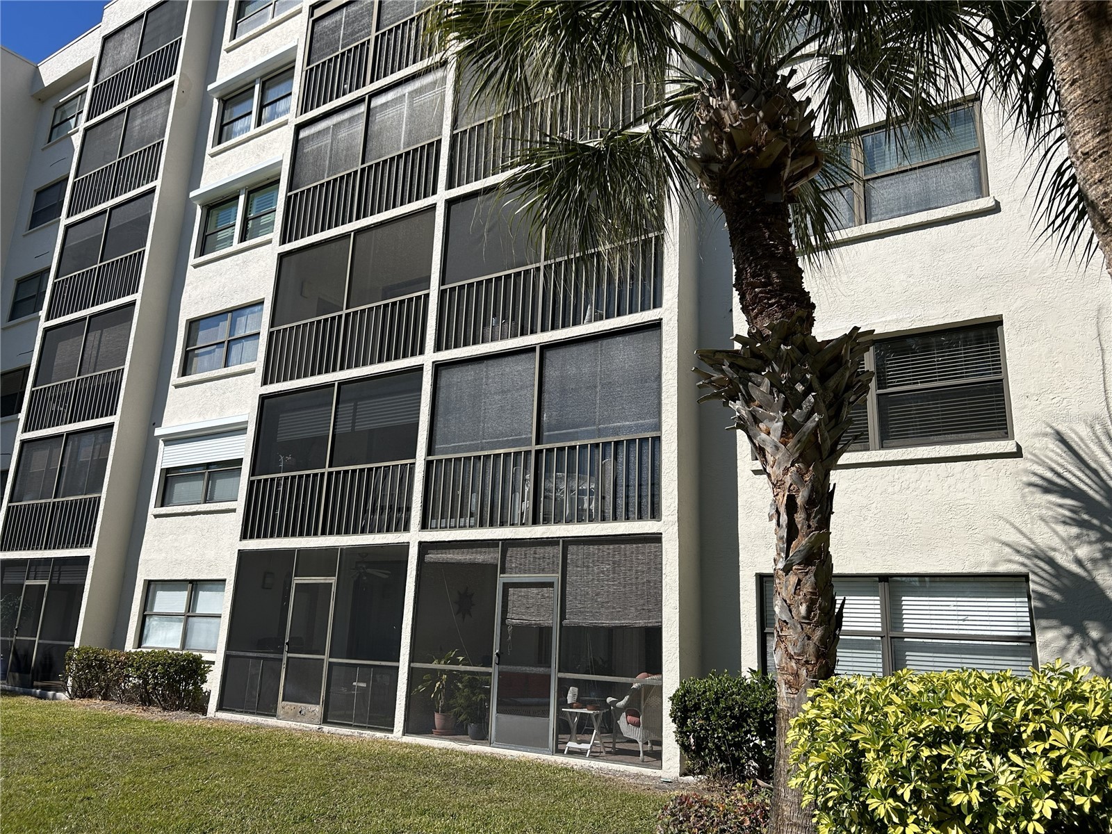 1316 Pasadena Avenue S #202 South Pasadena FL 33707 TB8474811 image30