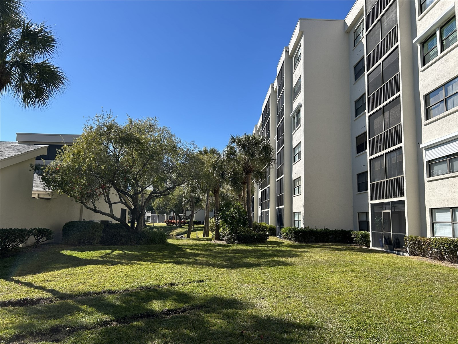 1316 Pasadena Avenue S #202 South Pasadena FL 33707 TB8474811 image42