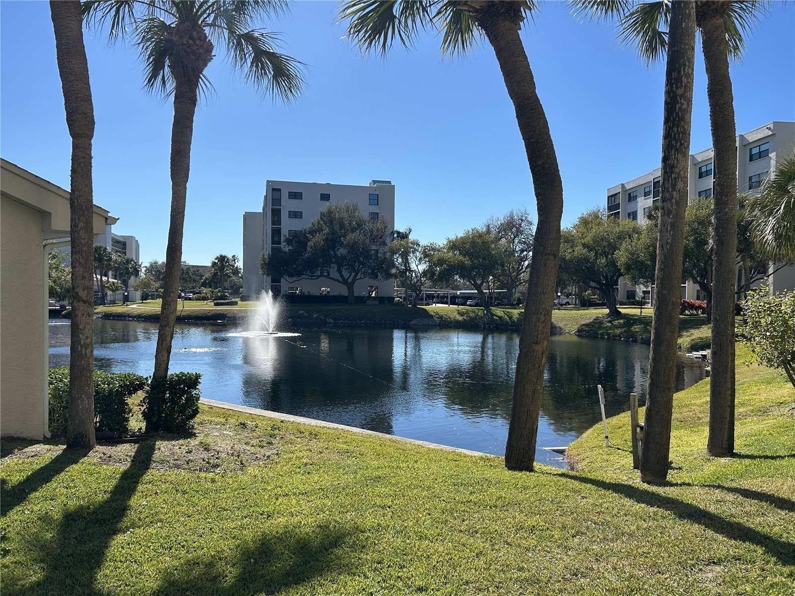 1316 Pasadena Avenue S #202 South Pasadena FL 33707 TB8474811 image43