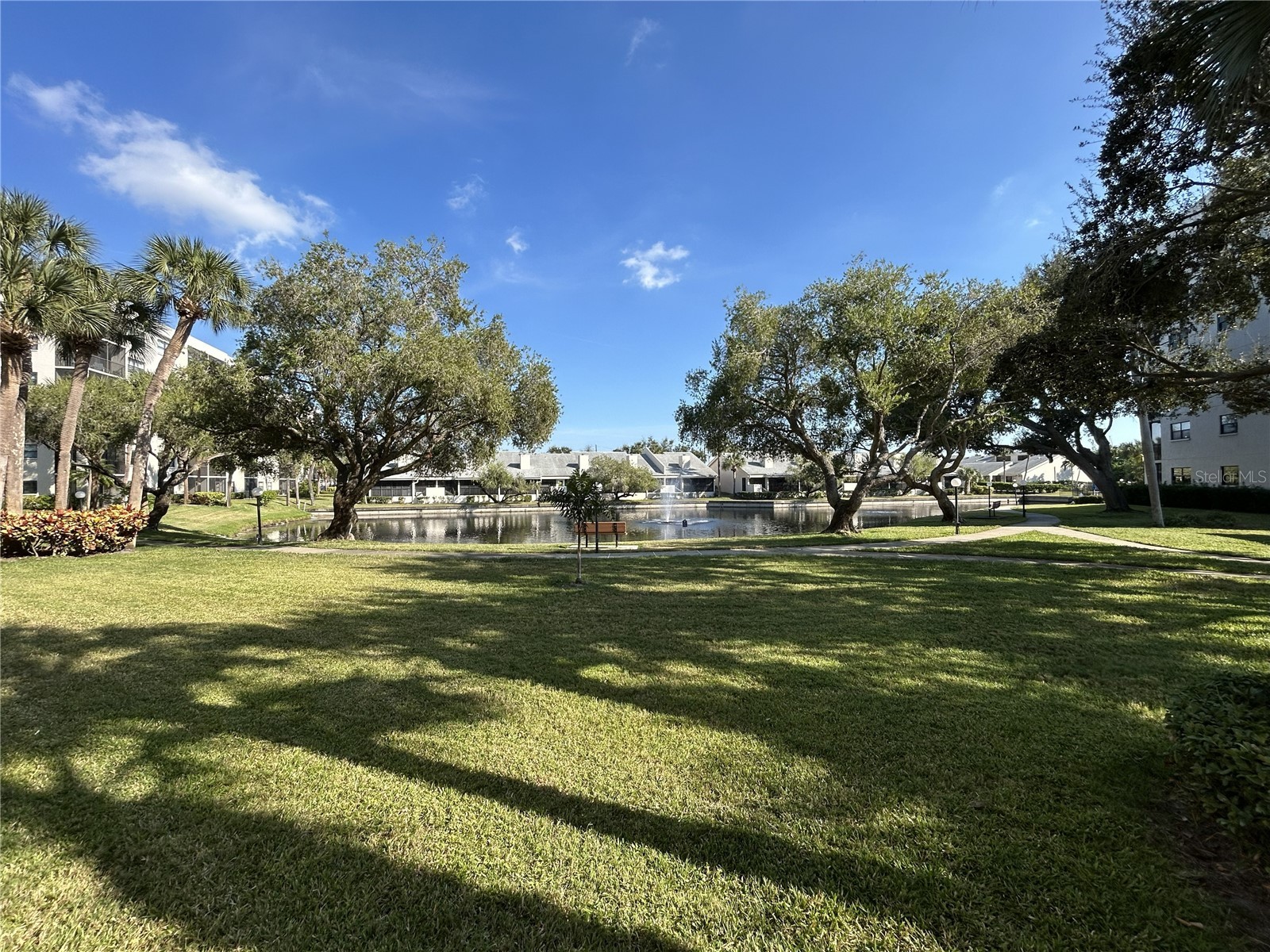 1316 Pasadena Avenue S #202 South Pasadena FL 33707 TB8474811 image45