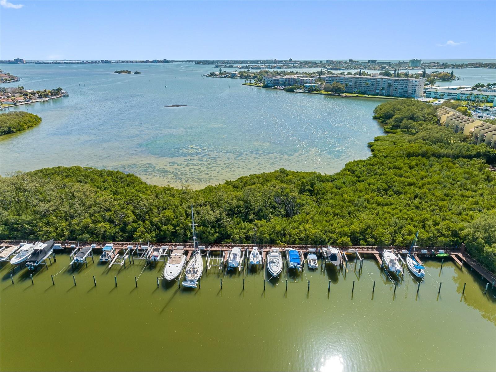 1316 Pasadena Avenue S #303 South Pasadena FL 33707 - BOCA CIEGA BAY TB8467150 image39