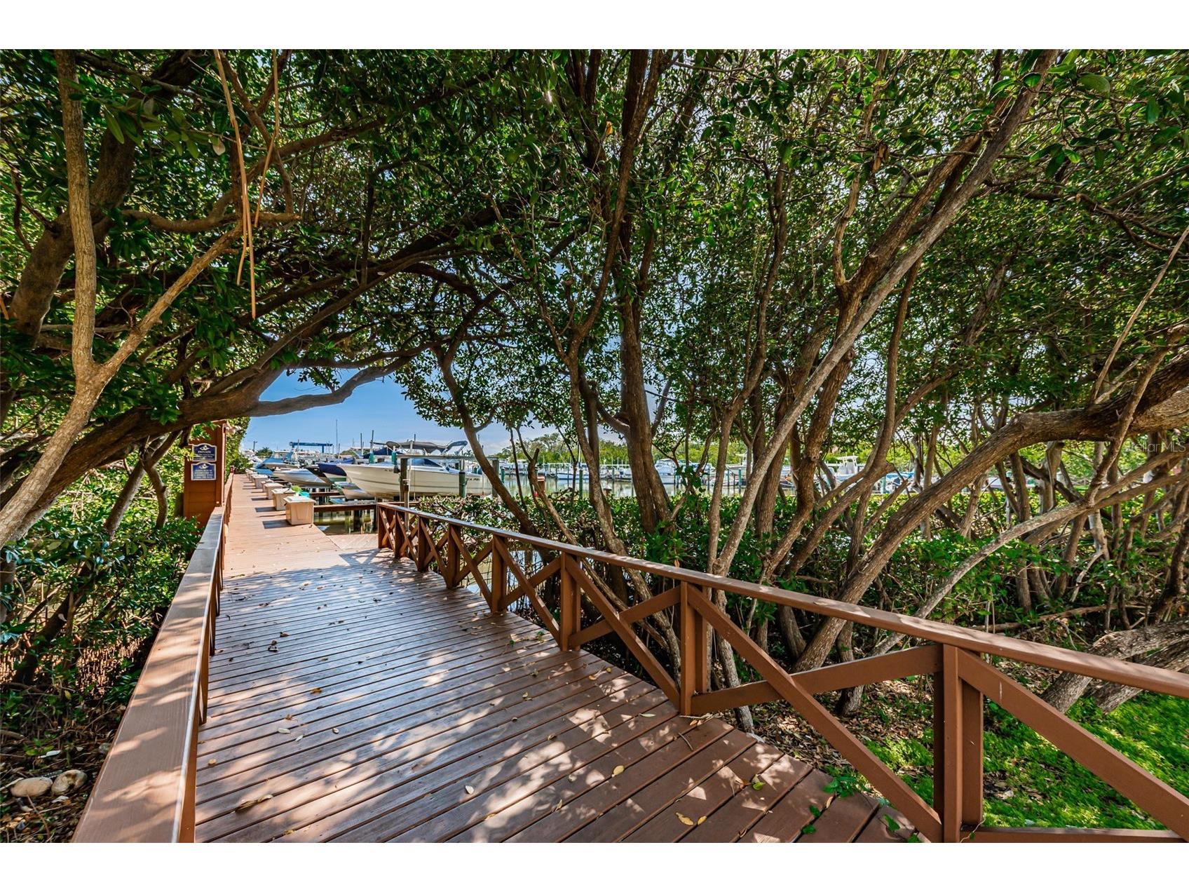 1316 Pasadena Avenue S #303 South Pasadena FL 33707 - BOCA CIEGA BAY TB8467150 image49