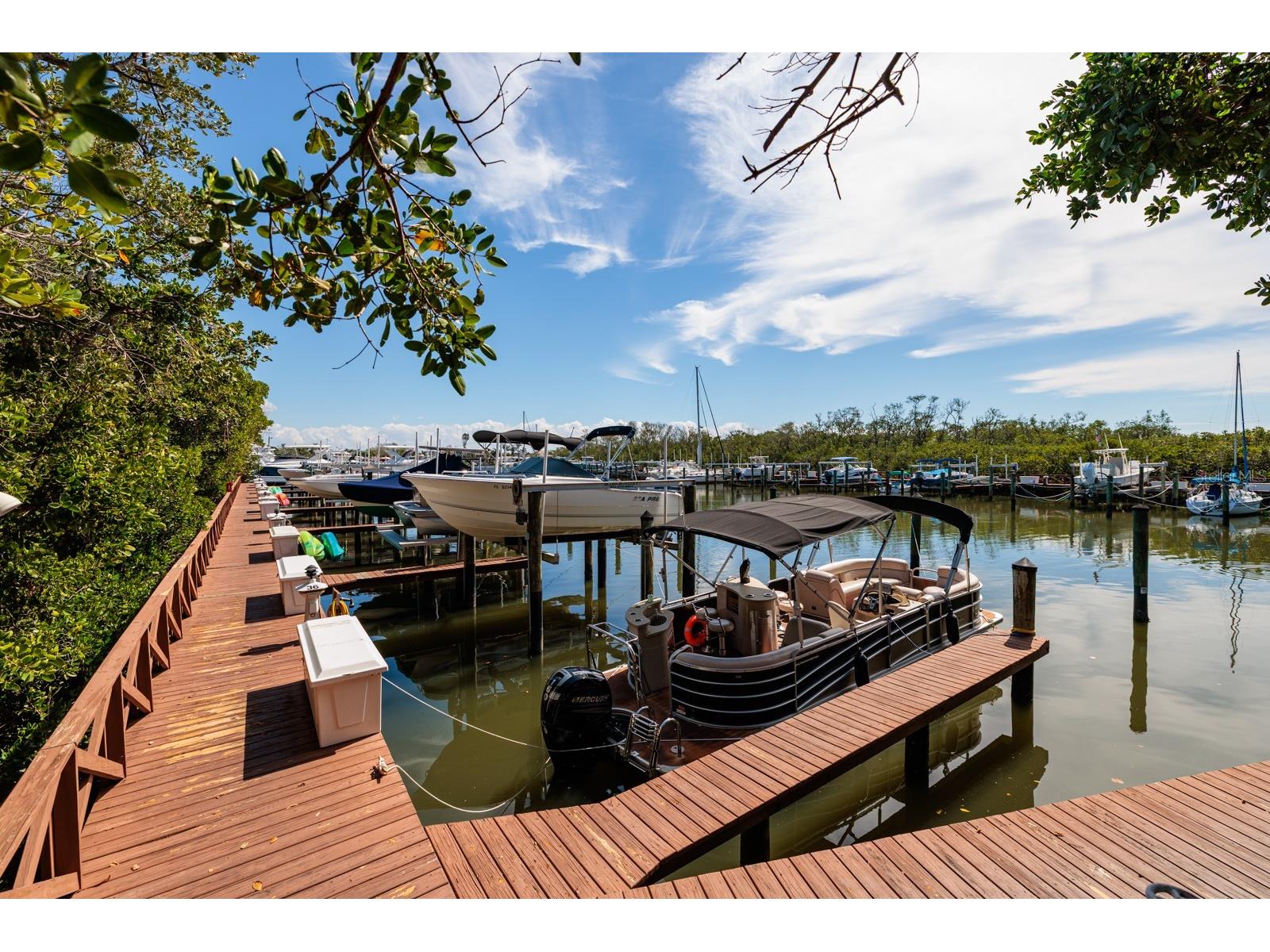 1316 Pasadena Avenue S #303 South Pasadena FL 33707 - BOCA CIEGA BAY TB8467150 image50