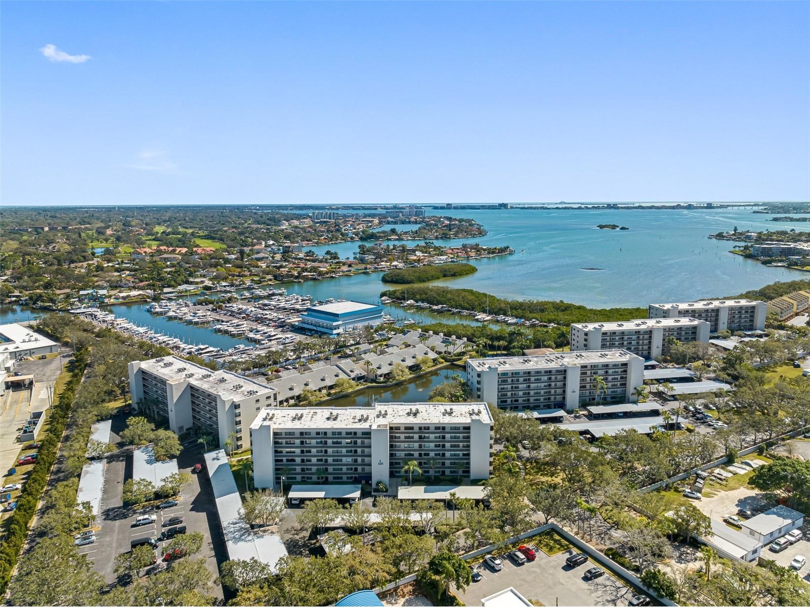 1316 Pasadena Avenue S #303 South Pasadena FL 33707 - BOCA CIEGA BAY TB8467150 image56