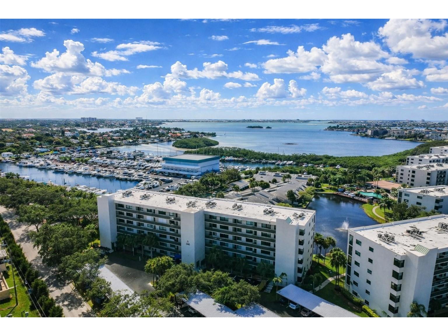 1316 Pasadena Avenue S #407 South Pasadena FL 33707 TB8483306 image1