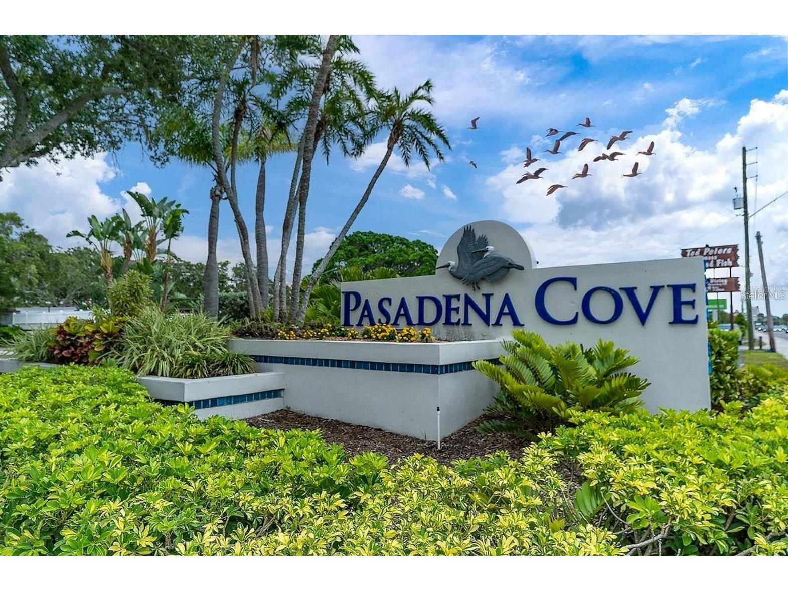 1316 Pasadena Avenue S #407 South Pasadena FL 33707 TB8483306 image100